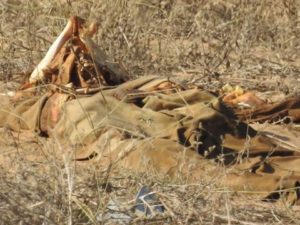 15895233_360021241042330_7010500141752106530_n